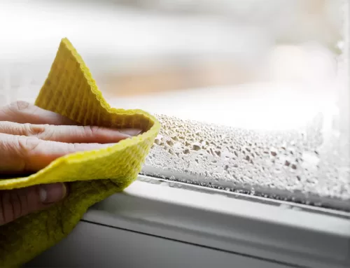 Condensation and Mould in Your Home