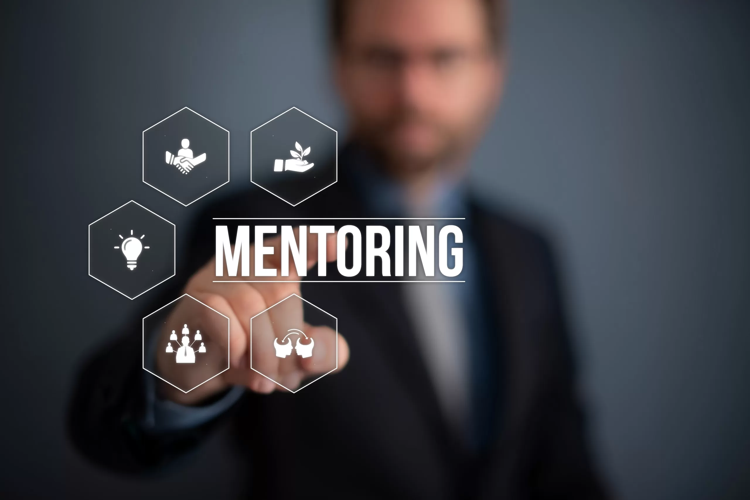 mentoring for domestic energy assessors
