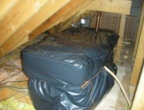DIY vs Professional Legionella Risk Assessments: What Landlords Need to Know
