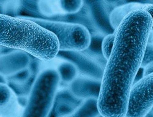 How Often Do You Need a Legionella Risk Assessment?