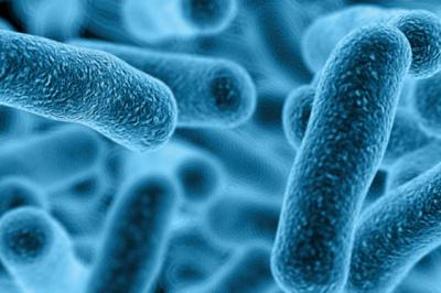 how often legionella risk assessment